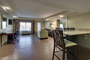 Holiday Inn Resort Orlando - Lake Buena Vista by IHG