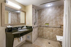 Holiday Inn Resort Orlando - Lake Buena Vista by IHG