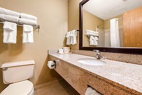 Quality Inn & Suites New Castle