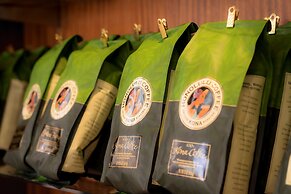 Hilton Waikoloa Village