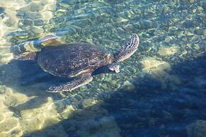 Hilton Waikoloa Village