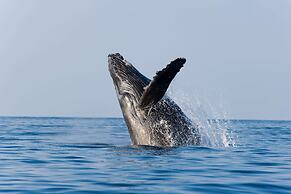 Hilton Waikoloa Village