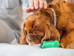 Mercure Napoli Centro Angioino