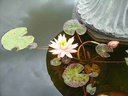 Sundowner Spanish Lady Motel