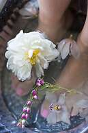 Rogue Regency Inn and Suites