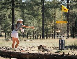 Little America Flagstaff