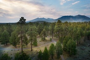 Little America Flagstaff