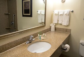 Holiday Inn Hotel & Suites Charleston West by IHG