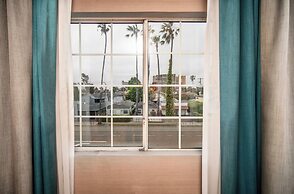 The Kinney - Venice Beach
