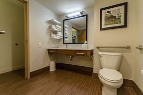 Hampton Inn Winchester-University/Mall Area