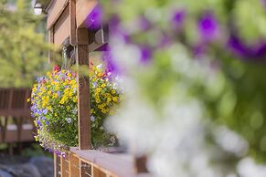 Holland America Denali Lodge