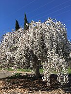 Quality Inn Carriage House