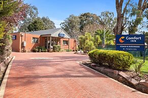 Comfort Inn Coach & Bushmans