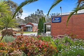 Comfort Inn Coach & Bushmans