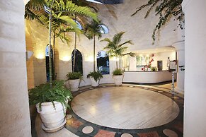 Bougainvillea Barbados