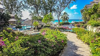 Bougainvillea Barbados