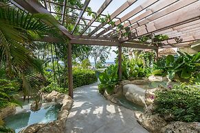Bougainvillea Barbados