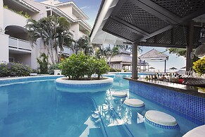 Bougainvillea Barbados