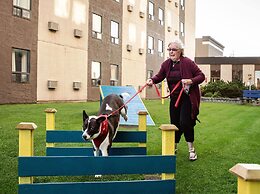 Travelodge by Wyndham Edmonton West