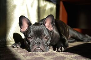 Hilltop Inn by Riversage