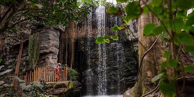 Holiday Inn Hotel & Suites Council Bluffs I-29 by IHG