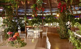 Divi Aruba Phoenix Beach Resort