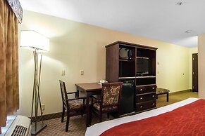 Comfort Inn & Suites Airport South