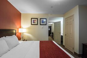 Comfort Inn & Suites Airport South