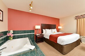 Comfort Inn & Suites Airport South