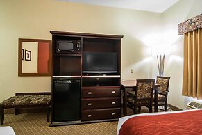 Comfort Inn & Suites Airport South