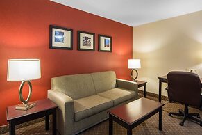 Comfort Inn & Suites Airport South