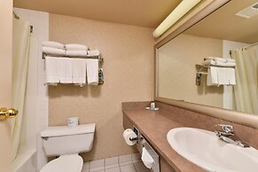 Comfort Inn & Suites Airport South