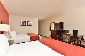 Comfort Inn & Suites Airport South