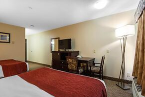Comfort Inn & Suites Airport South