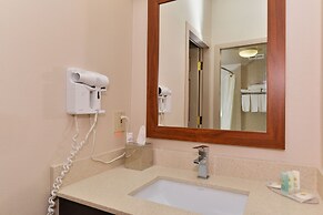 Comfort Inn & Suites Airport South