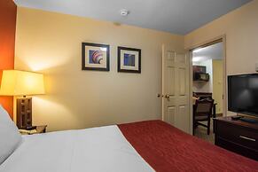 Comfort Inn & Suites Airport South