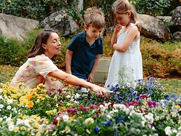 Mercure Gold Coast Resort