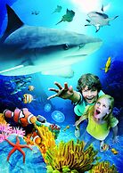 Grand Pacific Palisades