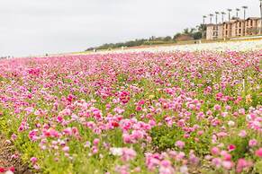 Grand Pacific Palisades