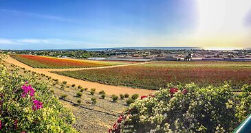 Grand Pacific Palisades