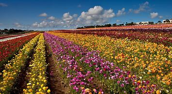 Grand Pacific Palisades