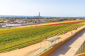 Grand Pacific Palisades