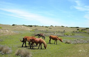 Hotel Alice At Atlantic Beach