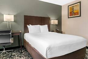 Quality Inn Grand Rapids South-Byron Center