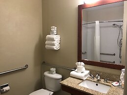 Comfort Suites Fort Collins Near University