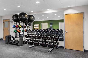 Spark by Hilton Calhoun