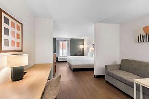 Spark by Hilton Calhoun