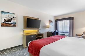 Best Western Inn of Payson