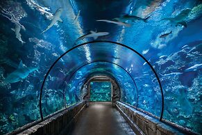 Mandalay Bay Resort And Casino