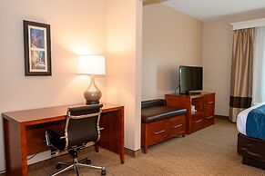 Comfort Inn & Suites Patriots Point